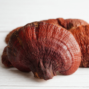 Reishi Radiance