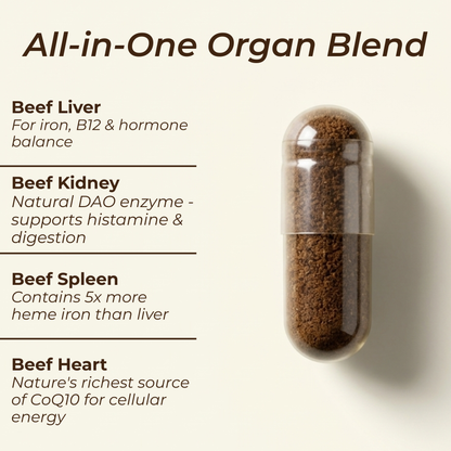 Beef Organs Supplement | Liver, Heart, Kidney & Spleen | 120 Capsules