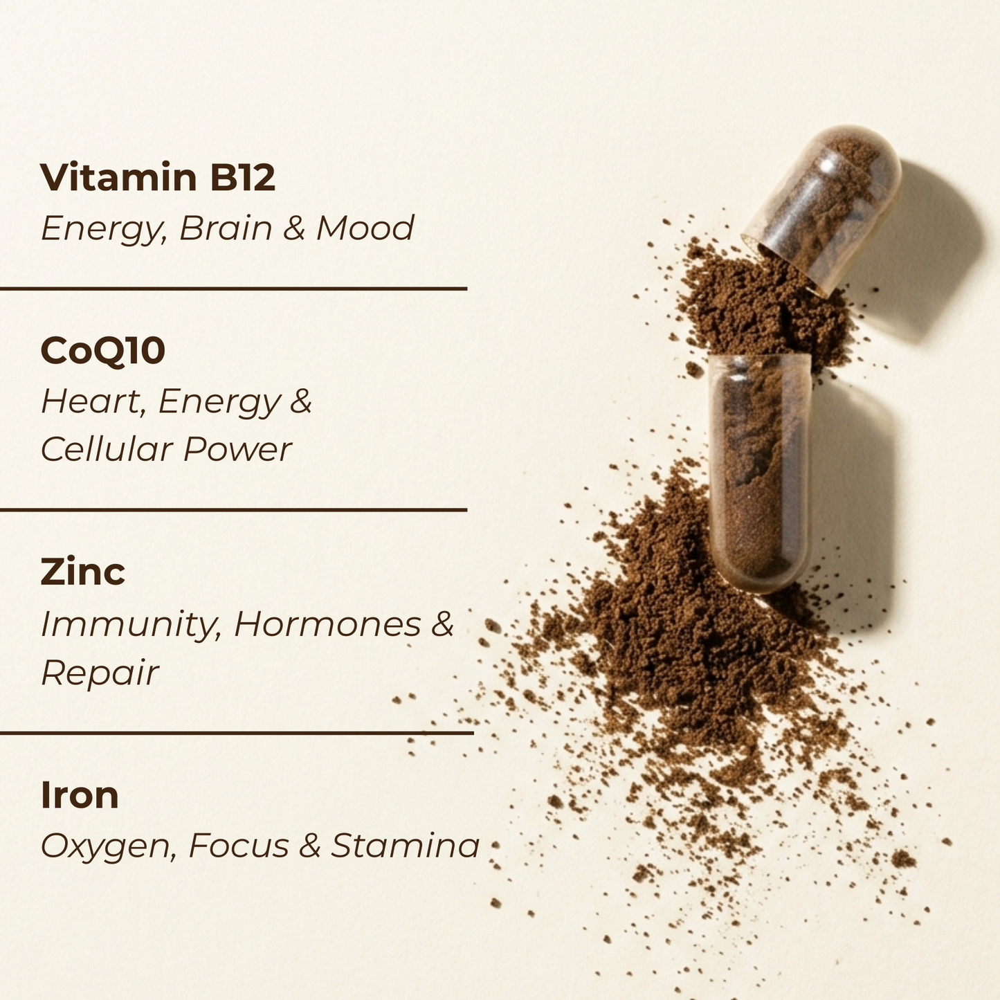 Beef Organs Supplement | Liver, Heart, Kidney & Spleen | 120 Capsules