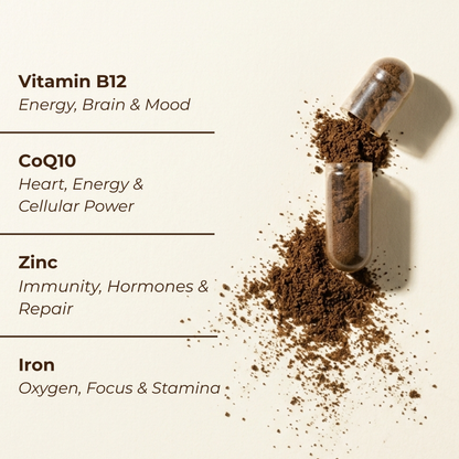 Beef Organs Supplement | Liver, Heart, Kidney & Spleen | 120 Capsules