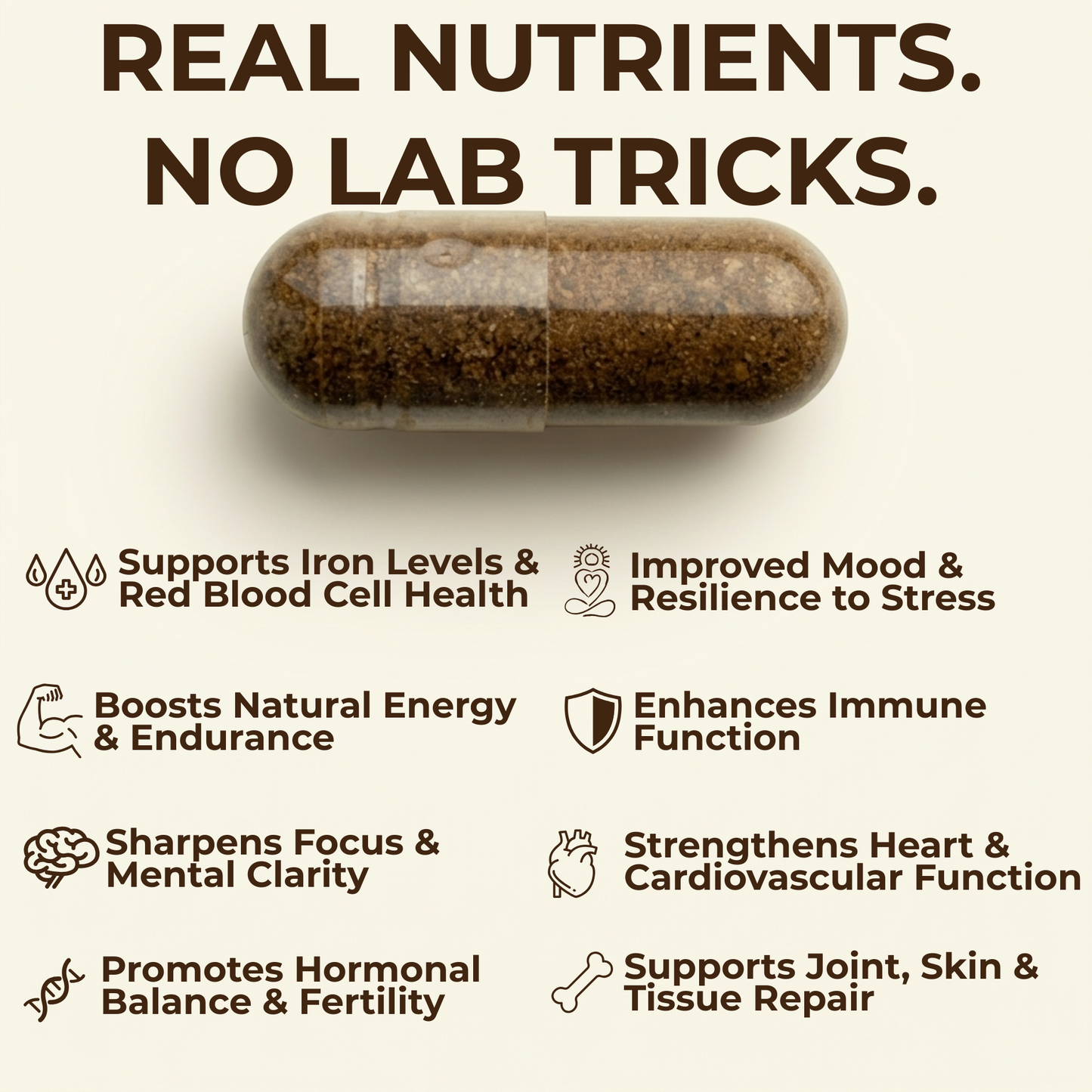 Beef Organs Supplement | Liver, Heart, Kidney & Spleen | 120 Capsules