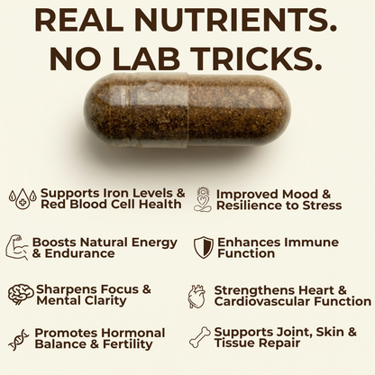 Beef Organs Supplement | Liver, Heart, Kidney & Spleen | 120 Capsules