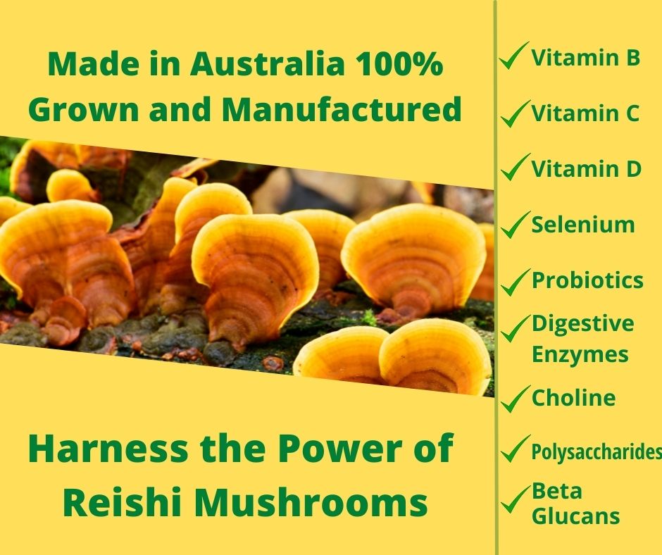 100% Australian Grown Reishi Mushroom Freeze Dried Powder