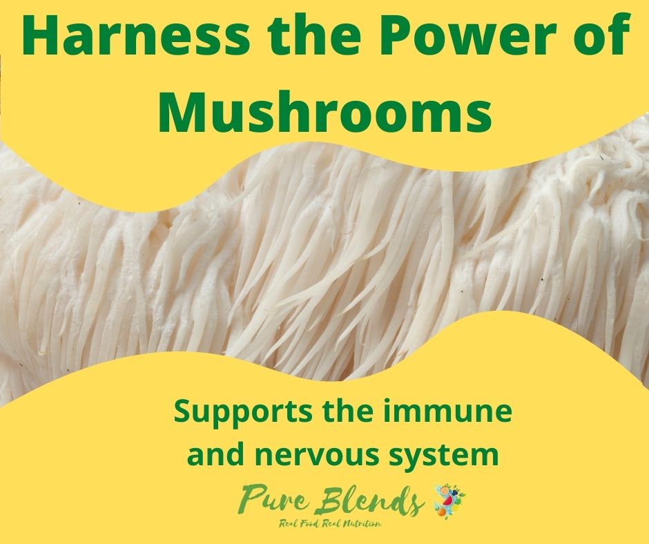 100% Australian Grown Lions Mane Mushroom Freeze Dried Powder