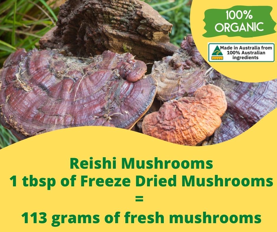 100% Australian Grown Reishi Mushroom Freeze Dried Powder